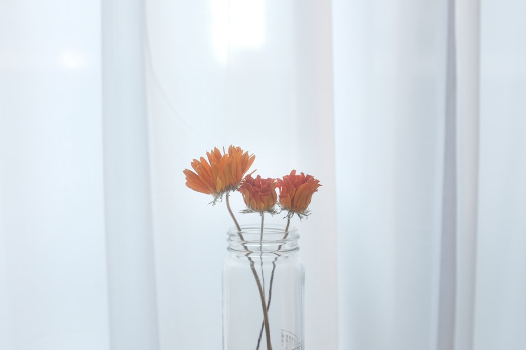 Three orange flowers in a clear glass jar against a soft white curtain background. Minimalist floral decor.